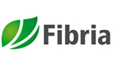 Fibria Celulose